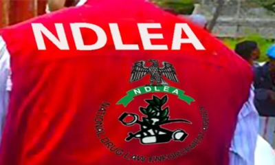 NDLEA
